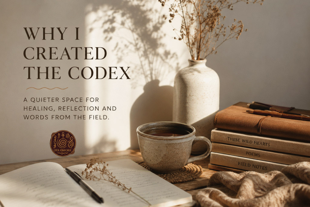 Why I created the codex